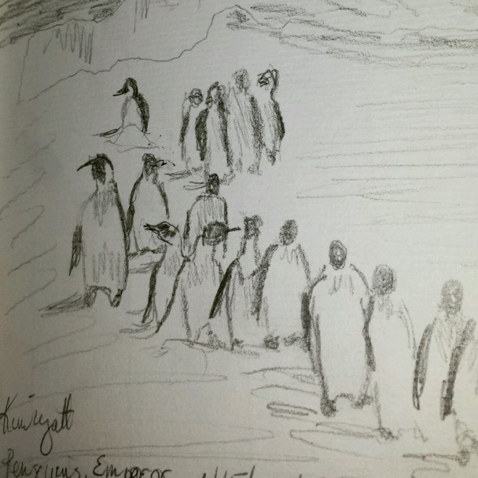penguin-sketch